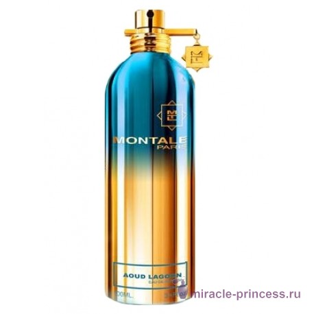 Montale Aoud Lagoon 11