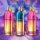 Montale Aoud Jasmine