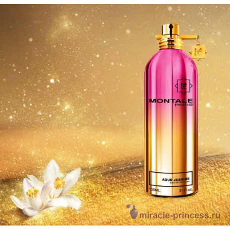 Montale Aoud Jasmine 22
