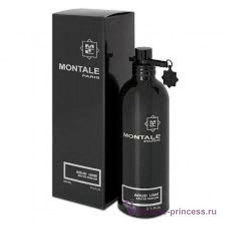 Montale Aoud Lime 22