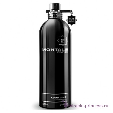Montale Aoud Lime 11