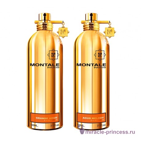 Montale Aoud Melody 22