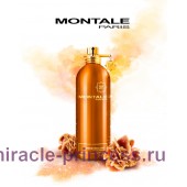 Montale Aoud Melody