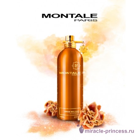 Montale Aoud Melody 22