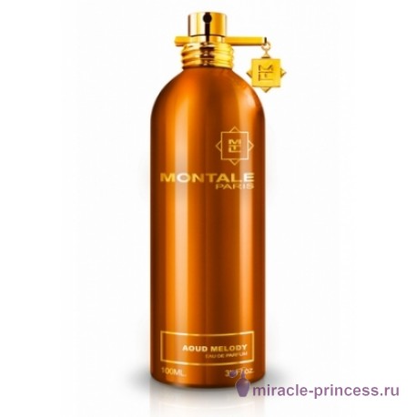 Montale Aoud Melody 11