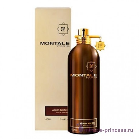 Montale Aoud Musk 22