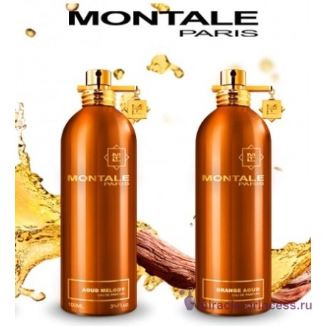Montale Aoud Orange 22