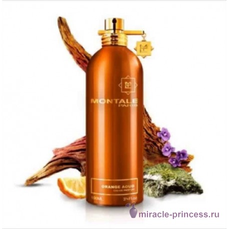 Montale Aoud Orange 22