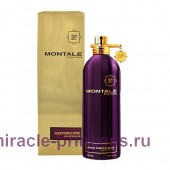 Montale Aoud Purple Rose