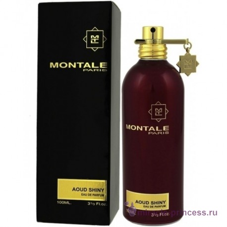 Montale Aoud Shiny 22