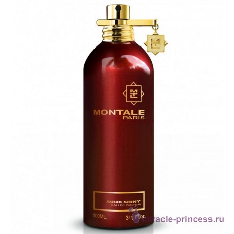 Montale Aoud Shiny 11
