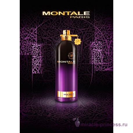Montale Aoud Sense 22