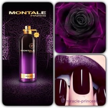 Montale Aoud Sense 22