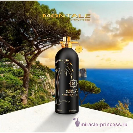 Montale Aqua Gold 22