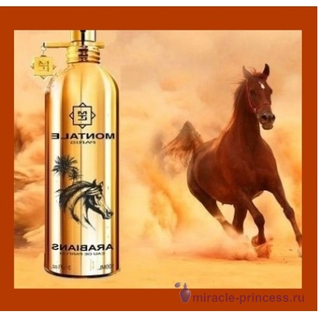 Montale Arabians 22