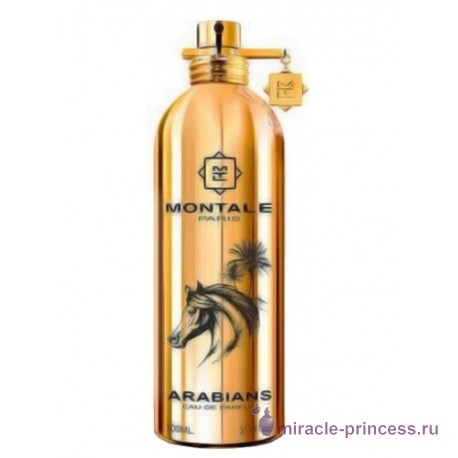 Montale Arabians 11