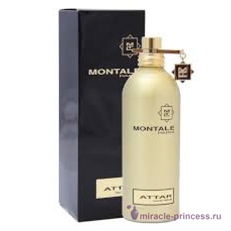 Montale Attar 22