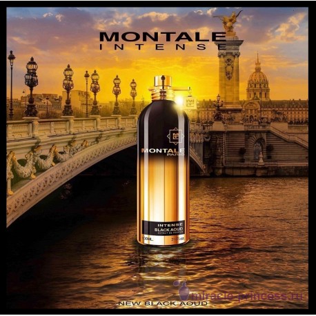 Montale Black Aoud Intense 22
