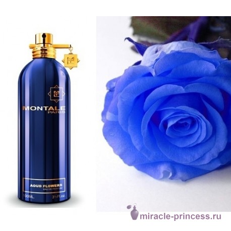 Montale Blue Amber 22