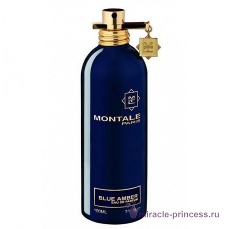 Montale Blue Amber 11