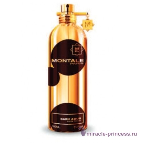 Montale Dark Aoud 11