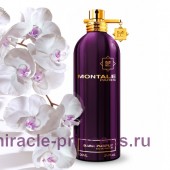 Montale Dark Purple