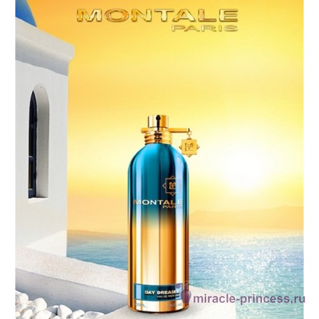 Montale Day Dreams 22