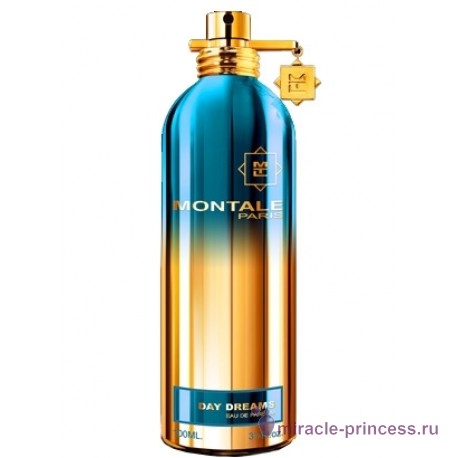 Montale Day Dreams 11
