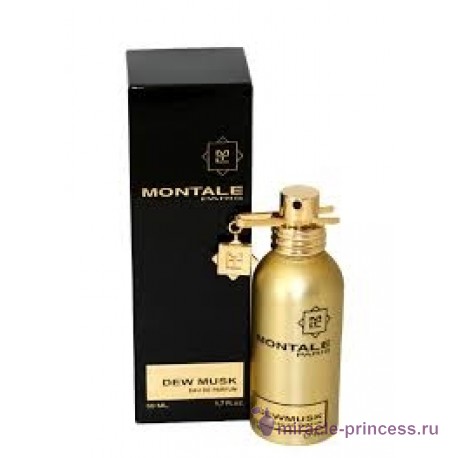 Montale Dew Musk 22