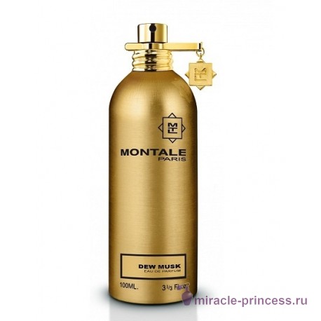 Montale Dew Musk 11