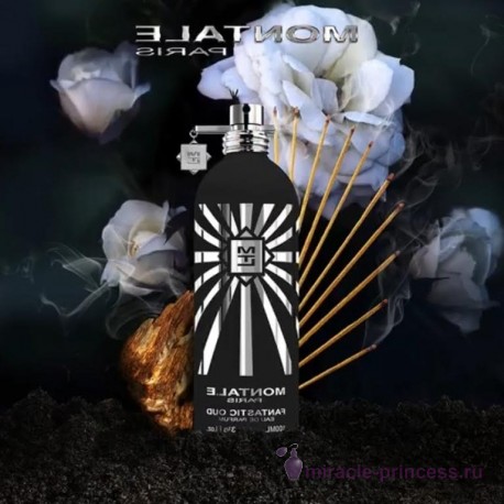 Montale Fantastic Oud 22