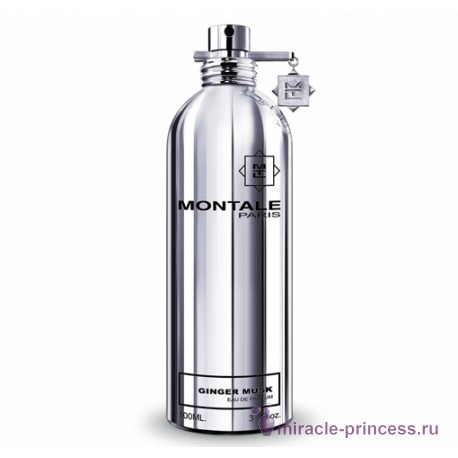 Montale Ginger Musk 11