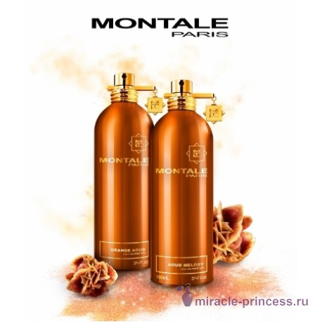 Montale Honey Aoud 22