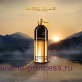 Montale Leather Patchouli