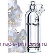 Montale Manga Mango
