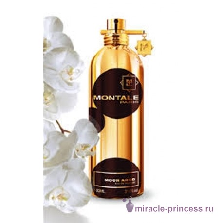Montale Moon Aoud 22