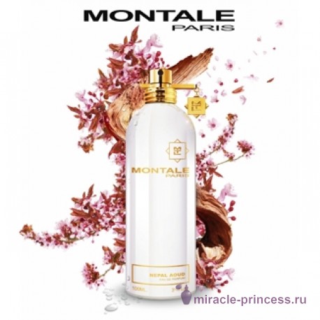 Montale Nepal Aoud 22