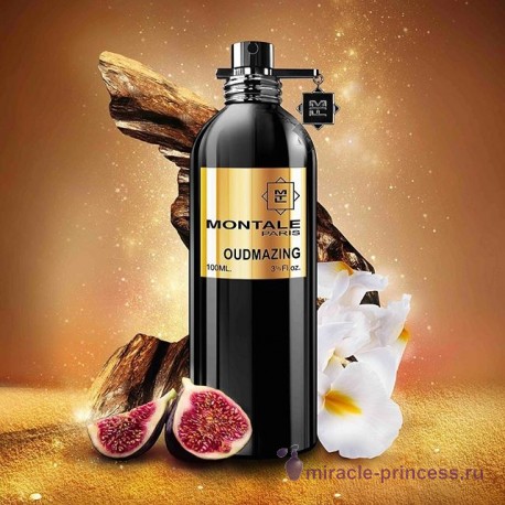 Montale Oudmazing 22
