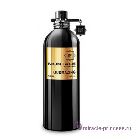 Montale Oudmazing 11