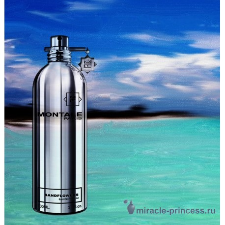 Montale Sandflowers 22