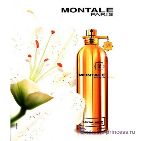 Montale Santal Wood 22