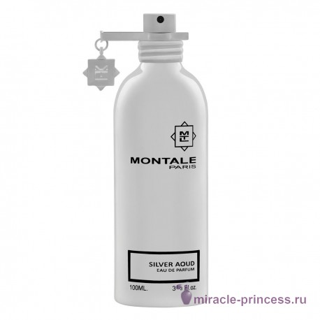 Montale Sliver Aoud 11