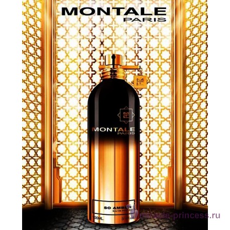 Montale So Amber 22