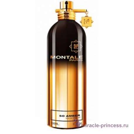 Montale So Amber 11