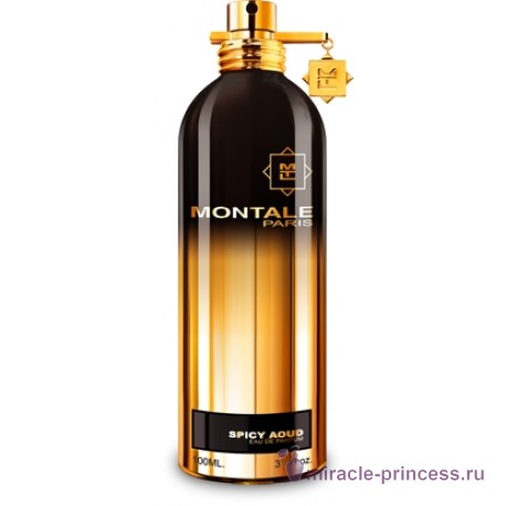Montale Spicy Aoud 11
