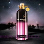 Montale Starry Night