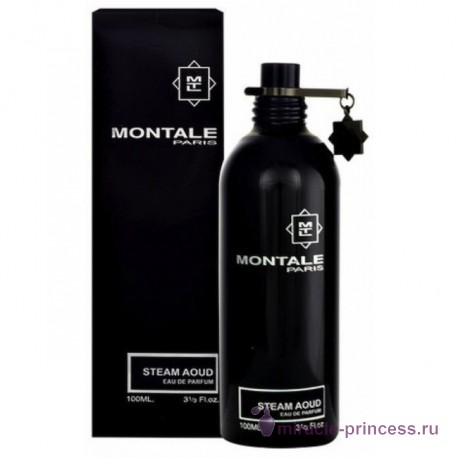Montale Steam Aoud 22