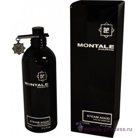 Montale Steam Aoud 22