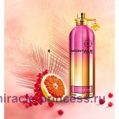 Montale The New Rose