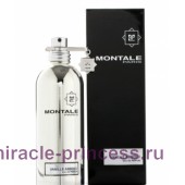 Montale Vanilla Absolu